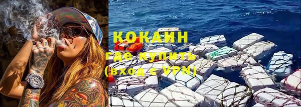 Альфа ПВП Бородино