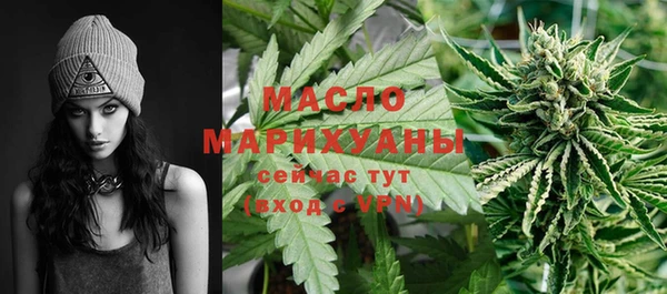 Альфа ПВП Бородино