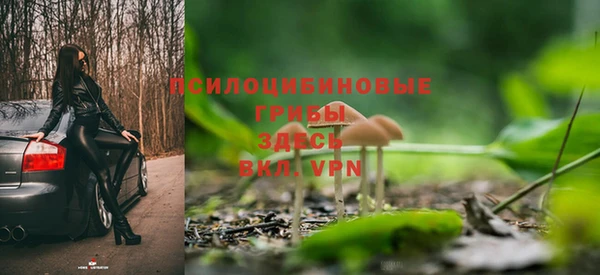 Альфа ПВП Бородино