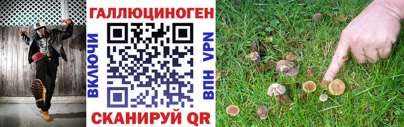 Галлюциногенные грибы мухоморы  Купить закладки  Карабулак 